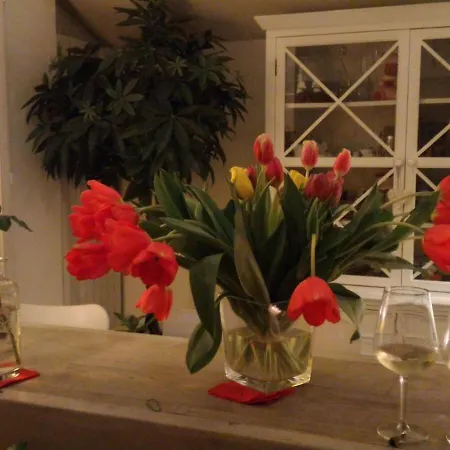 Apartament La Finestra *
